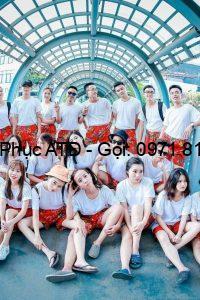 DPAT áo thun nhóm lớp 10