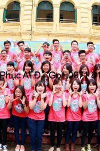 DPAT áo thun nhóm lớp 8